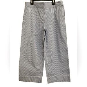 Talbots Blue Striped Pants